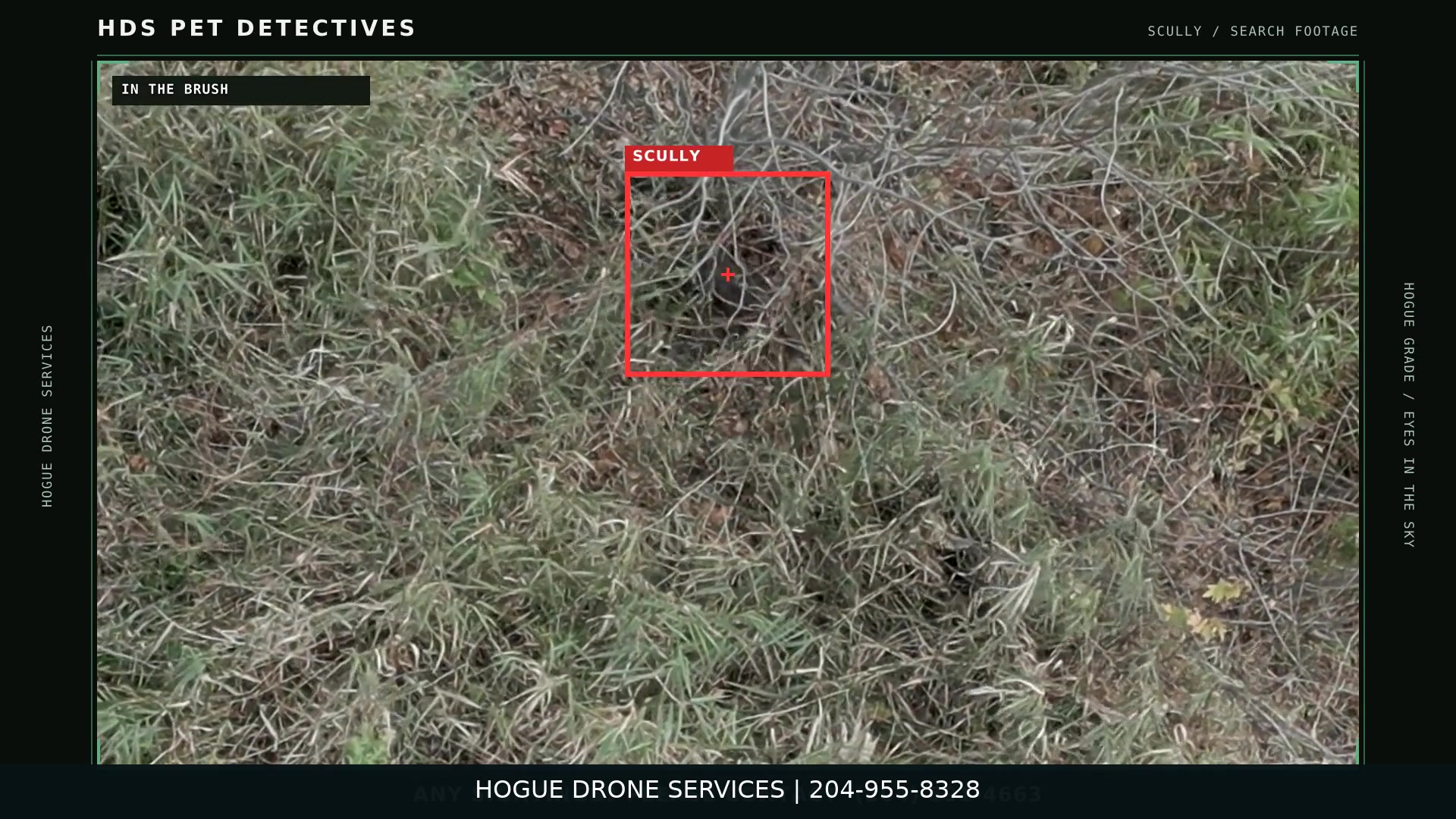 Pet Detectives — Scully Search — video preview