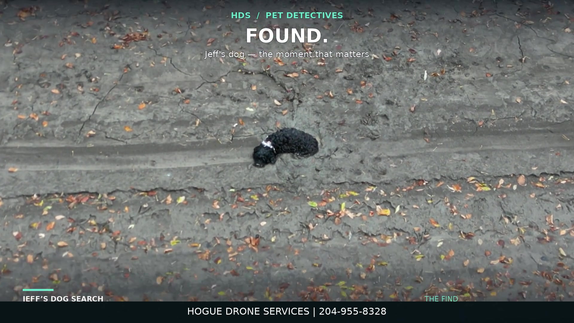 Pet Detectives — Jeff’s Dog Search — video preview