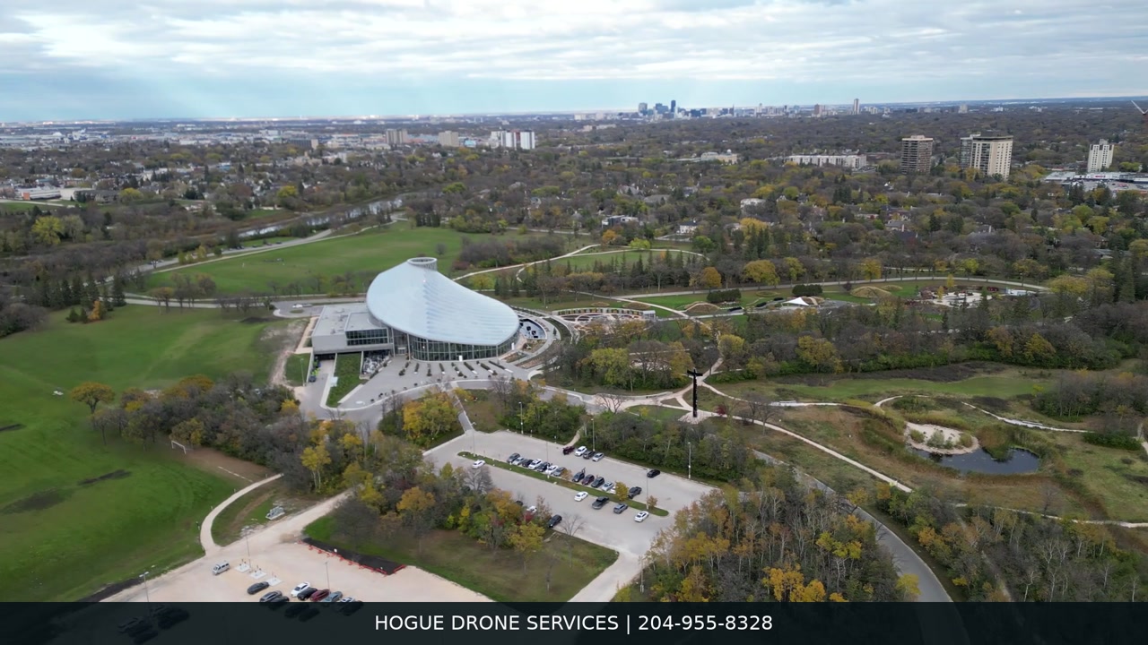 The Leaf from Above — video preview